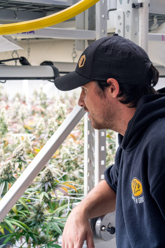 CommCan Cultivation Associate Riley looks after plants in one of CommCan's Medway, MA grow rooms.