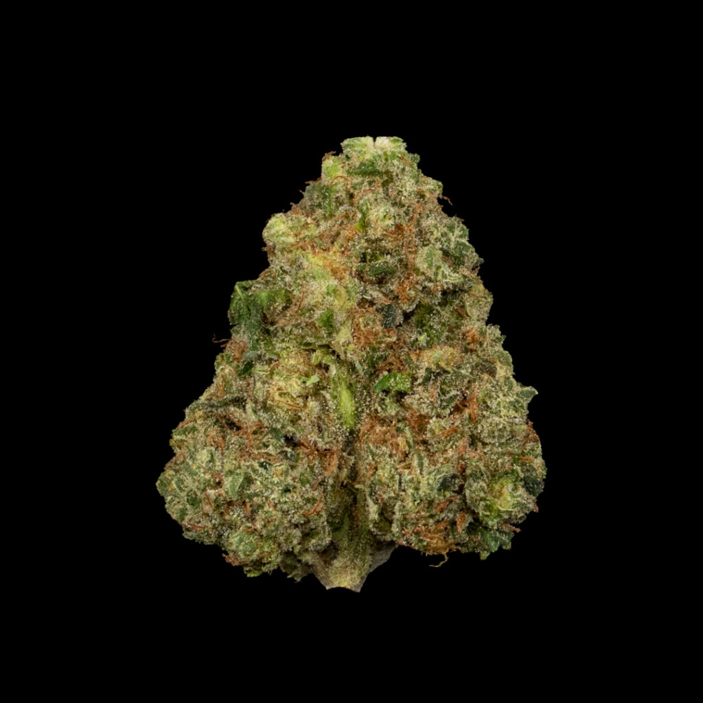 A closeup photo of a cured bud of RS11 x Coffin Candy flower grown by CommCan.