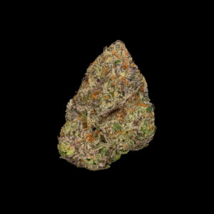 Alternative view of Swamp Ass