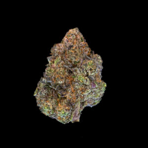 Close-up of Black Bubble Gum Horchata cannabis bud by CommCan, frosty trichomes and vibrant flower structure.