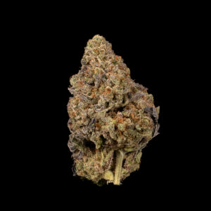 Alternative view of Kush