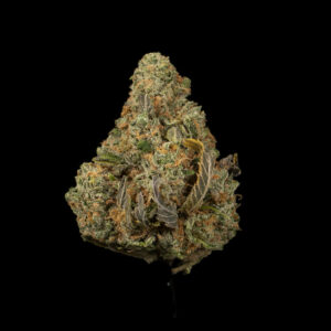 Alternative view of Cheese