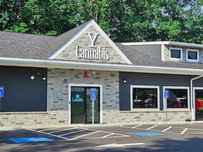 Y Cannabis in Taunton, MA