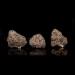 Amaretto-Mintz-Portrait-Nug-Line