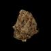 Skunk-Nug-Portrait(2)