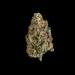 SilverHaze